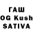 Псилоцибиновые грибы GOLDEN TEACHER Rasul Eul