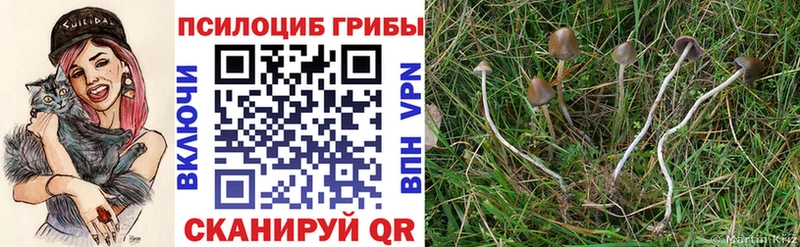 Псилоцибиновые грибы MAGIC MUSHROOMS  KRAKEN ТОР  Шумерля 